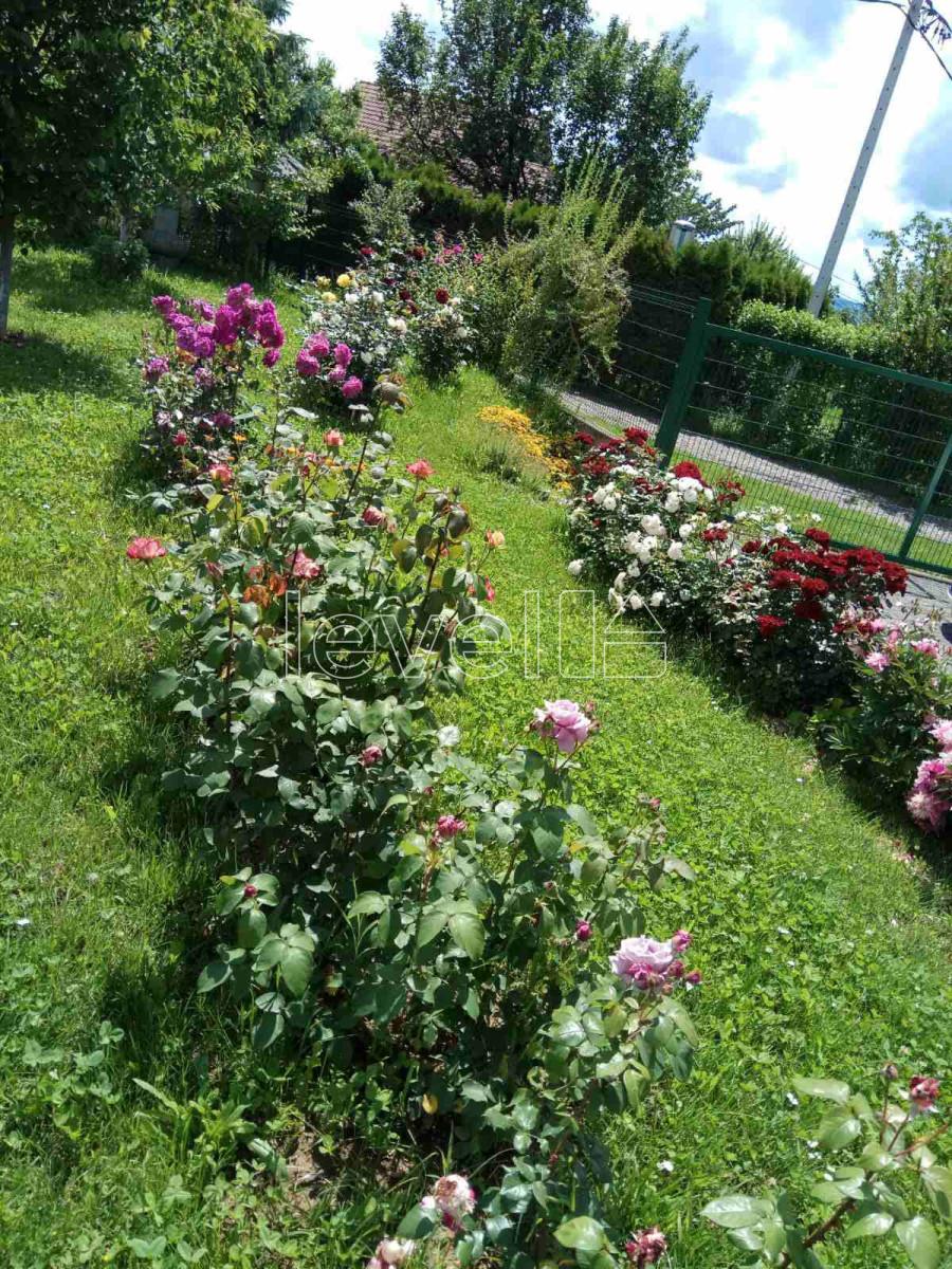 Slika 3